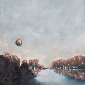 Whijtmenerplas onder koperenzon