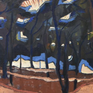 Donker bos onder felle zon