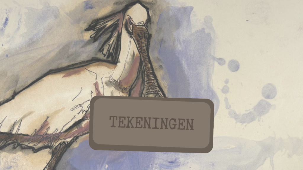 Knop naar tekeningen pagina met detail van een tekening (lepelaar)