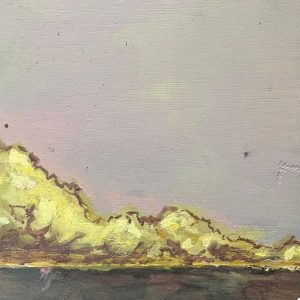 Landschap studie geschilderd met olieverf op triplex van 20cm x 20 cm. Wolkendek met bruine contourlijnen zwevend boven woest landschap