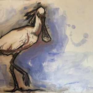 Tekening van een Lepelaar (Platalea leucorodia) gemaakt met oost indische Inkt, Markers, oliepastel en olieverf Afmetingen 40cm x 29,5 cm