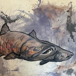 Tekening gemaakt van een Zalm (Salmo salar) gemaakt met oost indische Inkt, Markers, oliepastel en olieverf Afmetingen 40 cm x 29,5 cm
