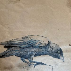 Tekening gemaakt van een Kauw (Corvus monedula) gemaakt met oost indische Inkt, Markers, oliepastel en olieverf Afmetingen 29,5 cm x 42cm
