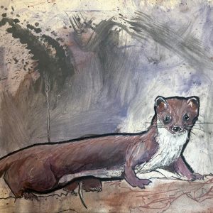 Tekening gemaakt van een Hermelijn (Mustela erminea) gemaakt met oost indische Inkt, Markers, oliepastel en olieverf Afmetingen 40 cm x 29,5 cm