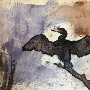 Tekening van een aalscholver (Phalacrocorax carbo) gemaakt met oost indische Inkt, Markers, oliepastel en olieverf Afmetingen 40 cm x 29,5 cm